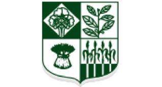 Trdaing Corporation