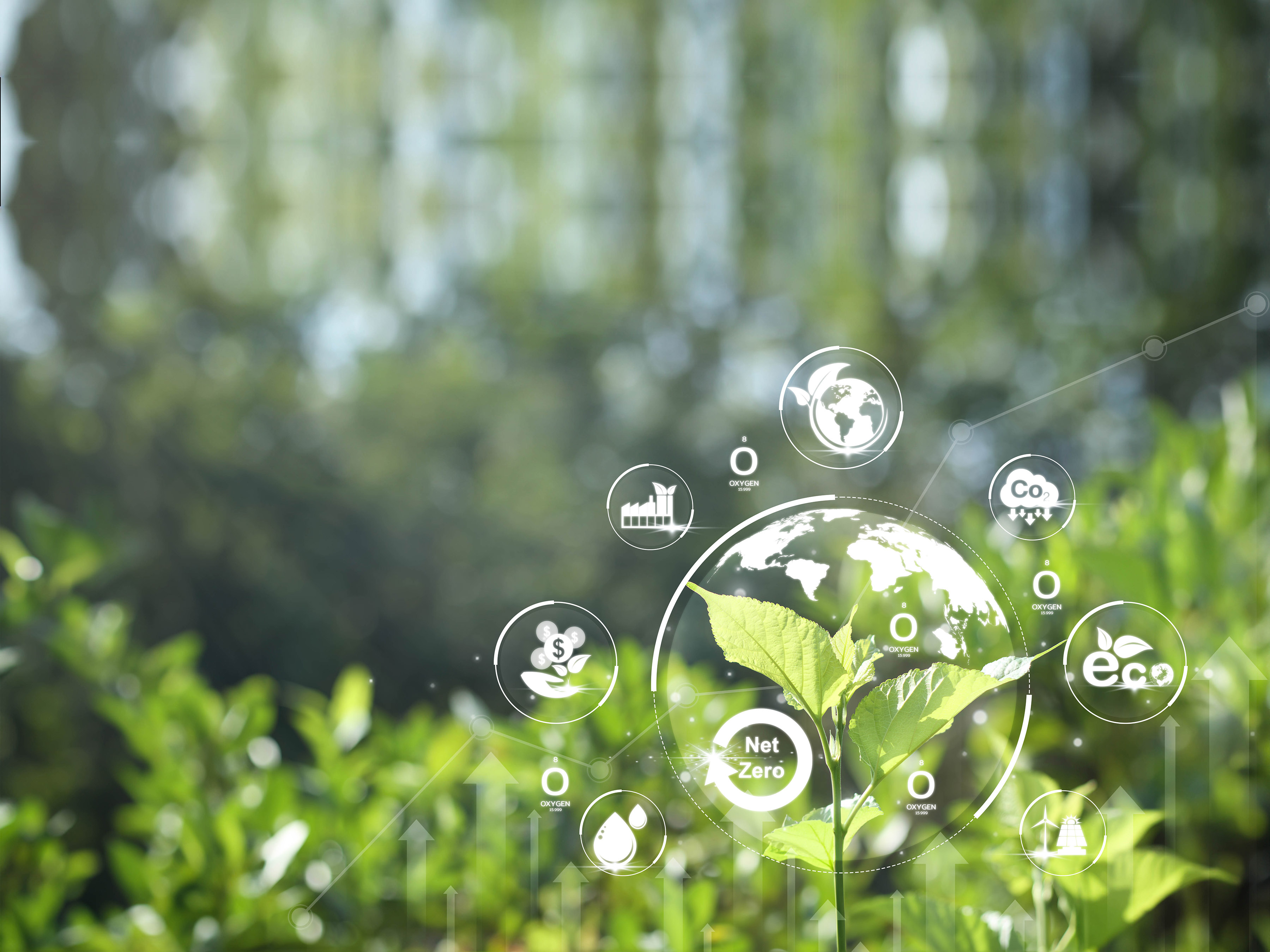 Digital Transformation for Leading Fintech Company