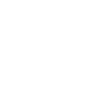 Bespoke Icon